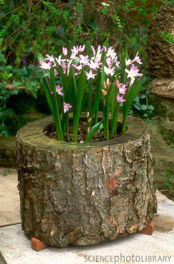 Při čištění zahrady sesbírali dřevo a větvičky – Jarní dekorace