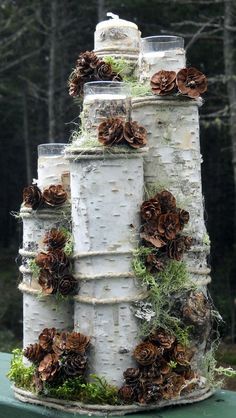 Nasbírejte v lese dřevo a větvičky – Inspirace na dekorace ze starého dřeva