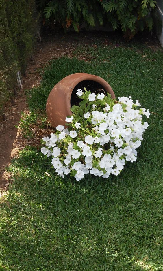 Staré květináče určitě nevyhazujte – Proměňte je v krásnou zahradní dekoraci