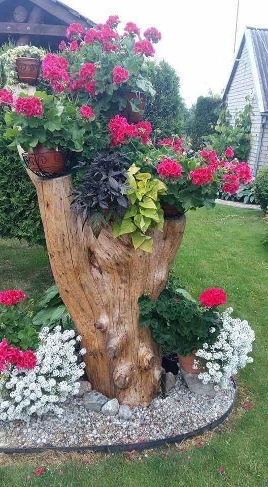 Vysaďte květiny do starého kusu dřeva – Už žádné nevkusné květináče