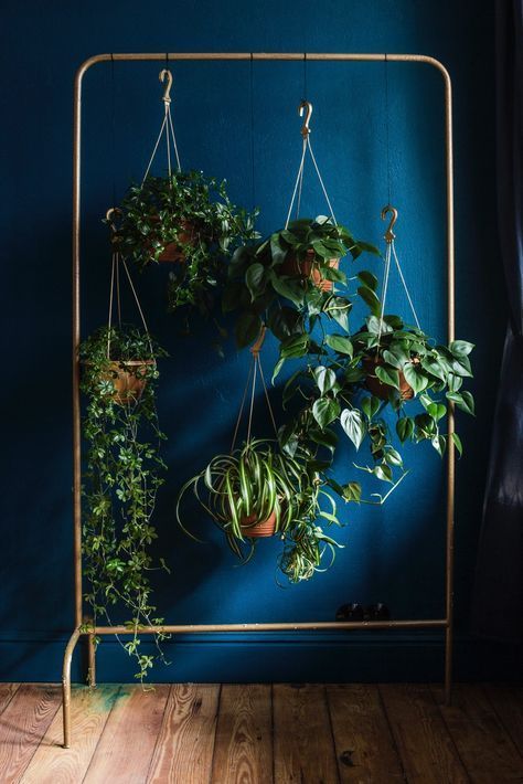 Závěsné truhlíky s rostlinami vytvoří oázu snů – inspirujte se