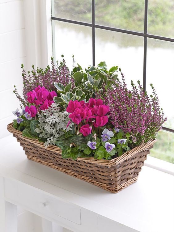 Oprašte své truhlíky a květináče: 22+ krásných inspirací, jak na jaro vyzdobit parapety!