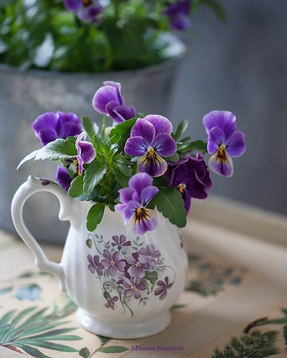 Využijte staré nádobí tímto krásným jarním způsobem – Inspirujte se!