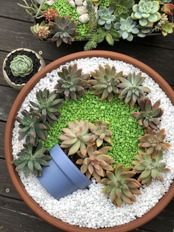 Vytvořte si kouzelné terárium osázené krásnými sukulentními rostlinami!