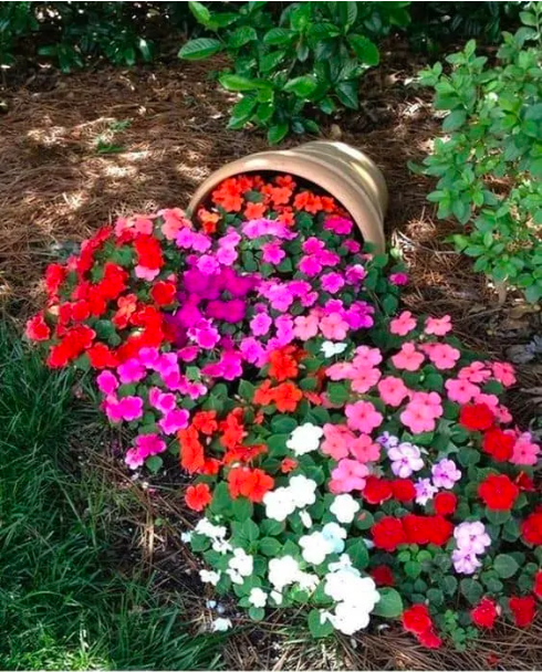 Staré květináče určitě nevyhazujte – Proměňte je v krásnou zahradní dekoraci