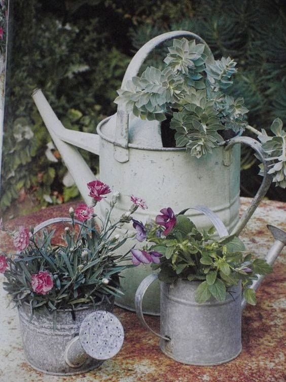 Využijte klasickou plechovou konev jako originální květináč: 20+ Prima inspirací