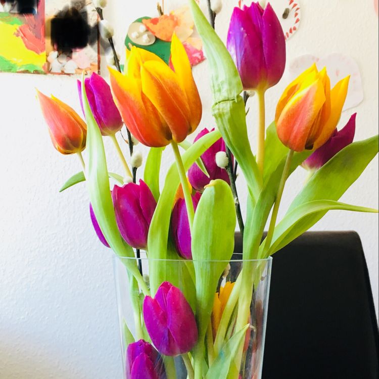 Pohádkové dekorace z tulipánů: Vykouzlete si jeden z těchto krásných výtvorů!