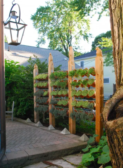 Už žádný zvědavý pohled souseda – Inspirace na získání soukromí na zahradě nebo terase
