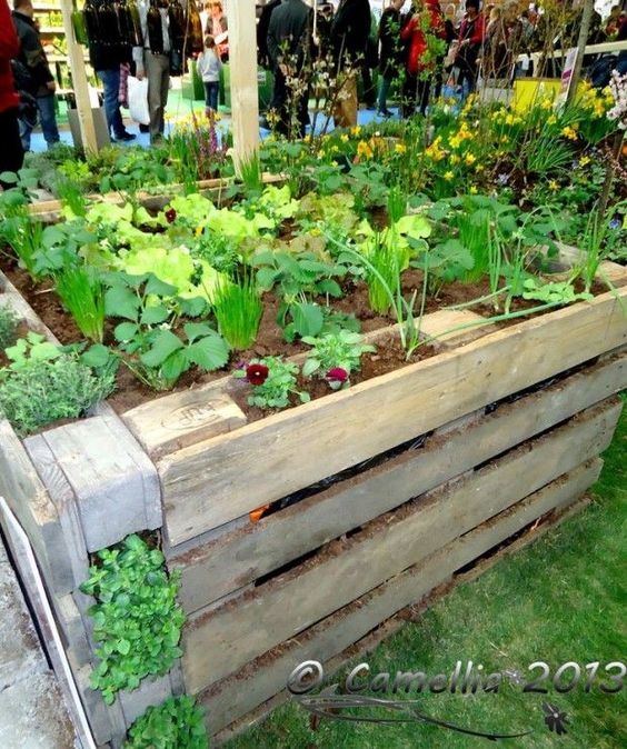 Z dřevěných palet lze vytvořit úžasné záhony pro pěstování zeleniny a květin