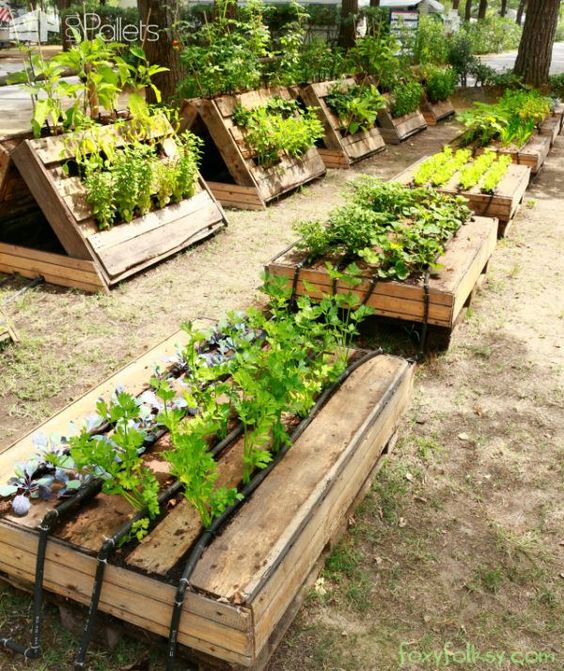 Vytvořte si na zahradě vyvýšené záhony z dřevěných palet
