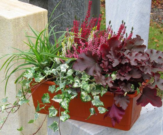 Přeměňte své truhlíky a květináče v krásné dekorace na parapety: 40+ inspirací