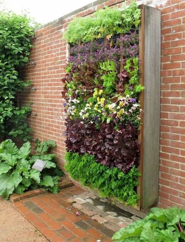 Jak ozdobit prázdný plot nebo zeď na zahradě: 25+ originálních inspirací, které vypadají úžasně!