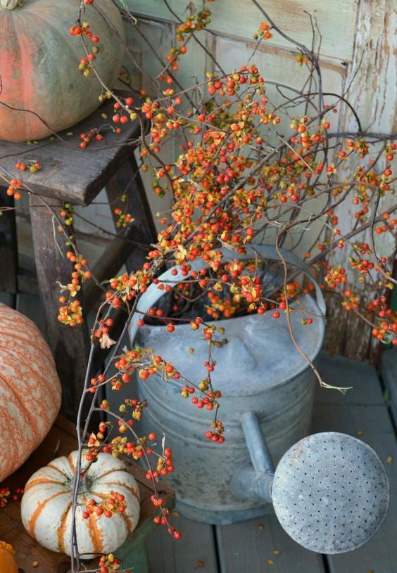 Proměňte staré konve na zalévání v krásné podzimní dekorace!