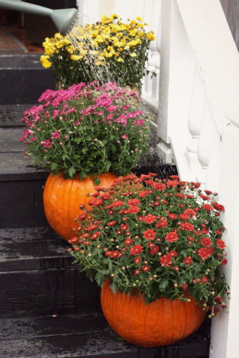 Hledáte originální podzimní květináč? Využijte klasickou dýní!