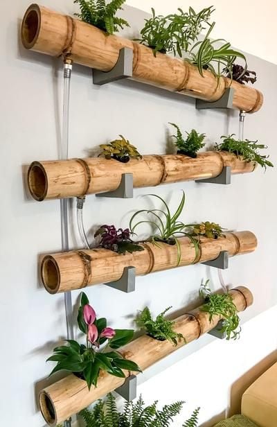 Využijte obyčejnou bambusovou tyč jako originální květináč – Prima inspirace