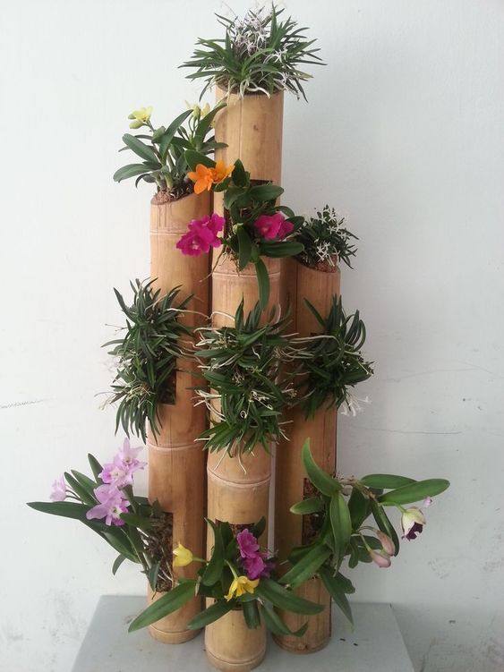 Bambusová tyč, jako skvělý květináč do domácnosti a na zahradu – Inspirujte se!