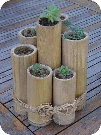Bambusová tyč, jako skvělý květináč do domácnosti a na zahradu – Inspirujte se!