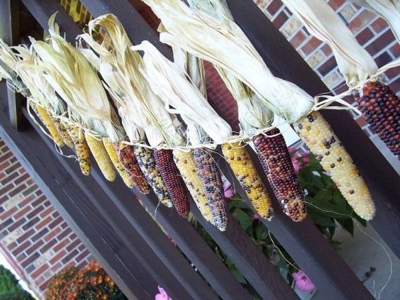 Sušená kukuřice slouží jako krásný interiérový doplněk: 30+ nápadů na podzimní dekorace vyrobené z kukuřice!