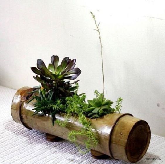 Využijte obyčejnou bambusovou tyč jako originální květináč – Prima inspirace