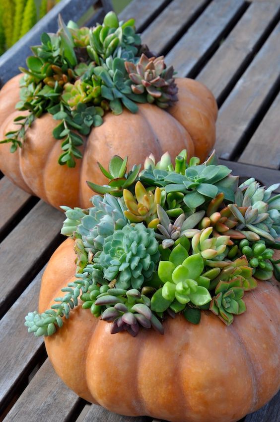 Stačí Vám stará punčocha, betonová směs a gumičky: Úžasné podzimní dekorace!