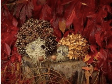 Krásné podzimní dekorace, které v obchodě nekoupíte: Vytvořte si roztomilé ježky do bytu i zahrady!