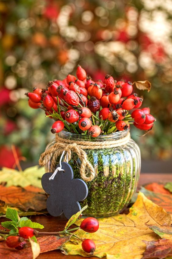 Úžasné dekorace vytvořené ze šípků na podzimní měsíce: 20+ nápadů, které Vás okouzlí!