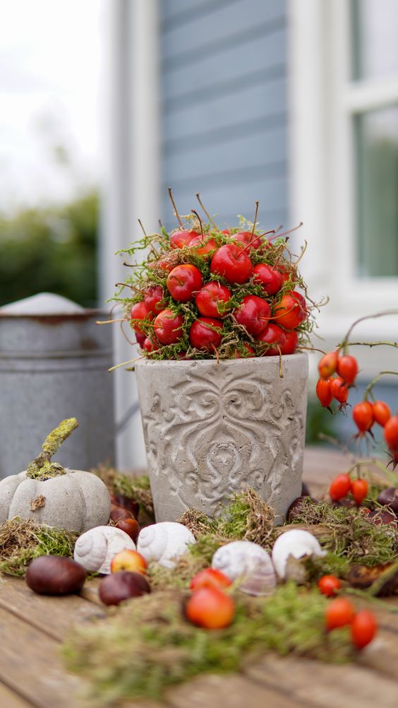 Vytvořte si dekorace ze šípků a jeřabin na podzimní měsíce