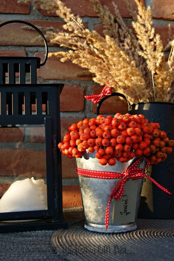 Vytvořte si dekorace ze šípků a jeřabin na podzimní měsíce
