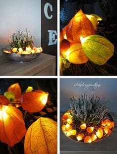 Vytvořte si krásné dekorace z mochyně: 25+ nápadů na podzimní období, které nestojí téměř nic!