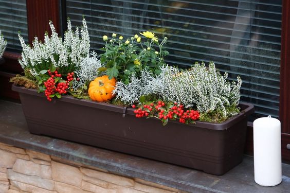 Vytvořte si krásné podzimní truhlíky: 30+ nápadů na parapety, balkóny a terasy!