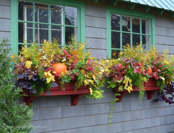 Vytvořte si krásné podzimní truhlíky: 30+ nápadů na parapety, balkóny a terasy!