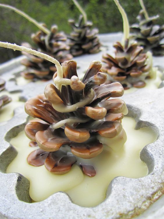Jednoduchá podzimní dekorace: Vyrobte si krásné muffinové svíčky z lesních plodů a koření!