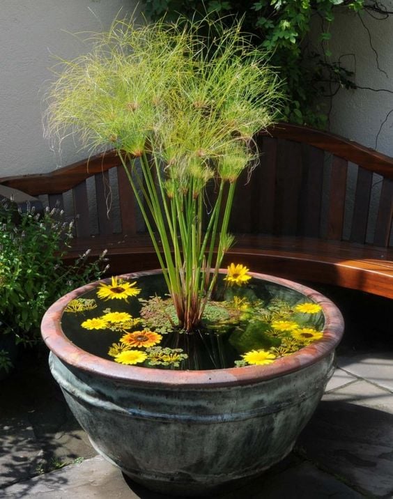 20+ zahradních jezírek: Využijte dřevěné či plechové vany!
