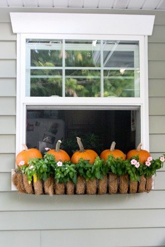 Zkrášlete si své okno tímto překrásným podzimním nápadem!