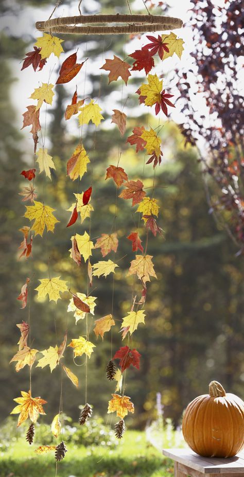 Jednoduché podzimní dekorace z popadaného listí: 20+ Prima inspirací