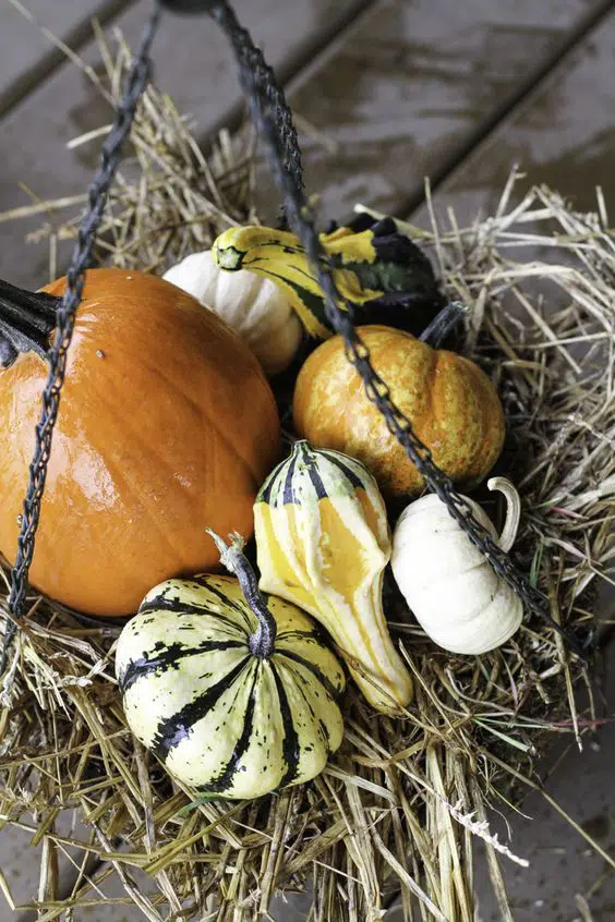 Jednoduché podzimní dekorace, které si můžete pověsit – Prima inspirace Jednoduché podzimní dekorace, které si můžete pověsit – Prima inspirace