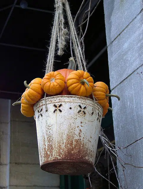 Jednoduché podzimní dekorace, které si můžete pověsit – Prima inspirace Jednoduché podzimní dekorace, které si můžete pověsit – Prima inspirace