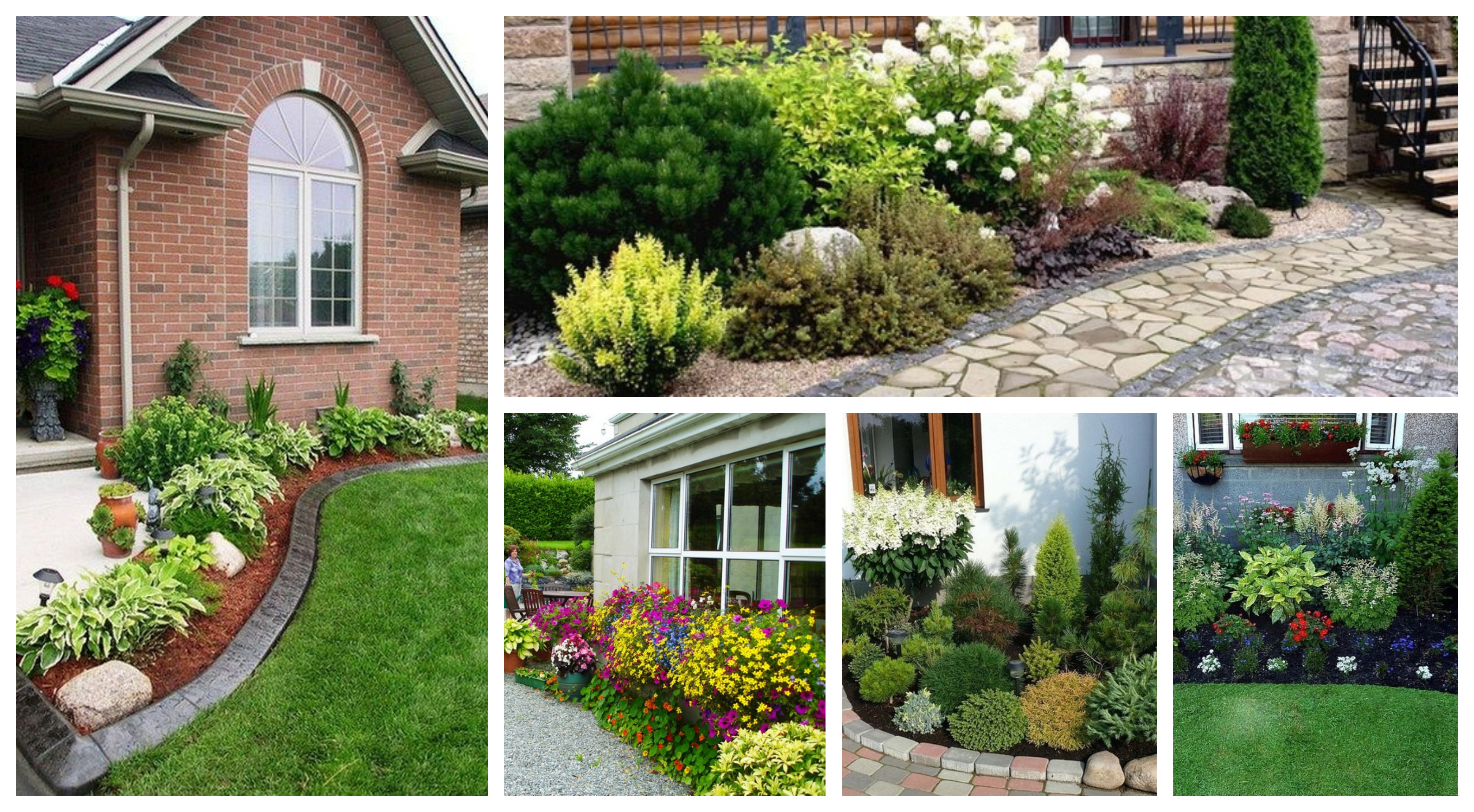 Uzasne Napady Na Kvetinove Zahony V Okoli Domu