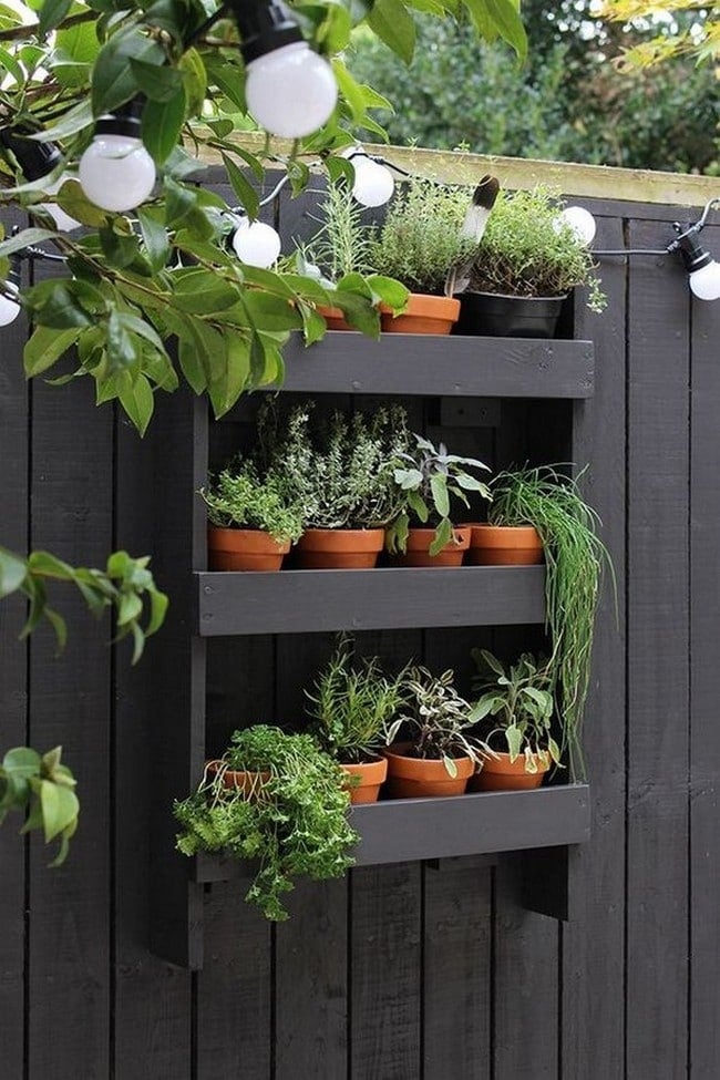 Výborné zahradní vychytávky od kutilů: Vylepšete si svou zahradu těmito nápady!