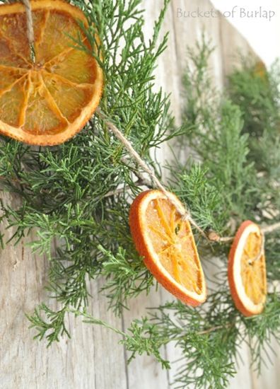 Kouzlo pomerančové kůry – Dekorace, které provoní celou Vaší domácnost