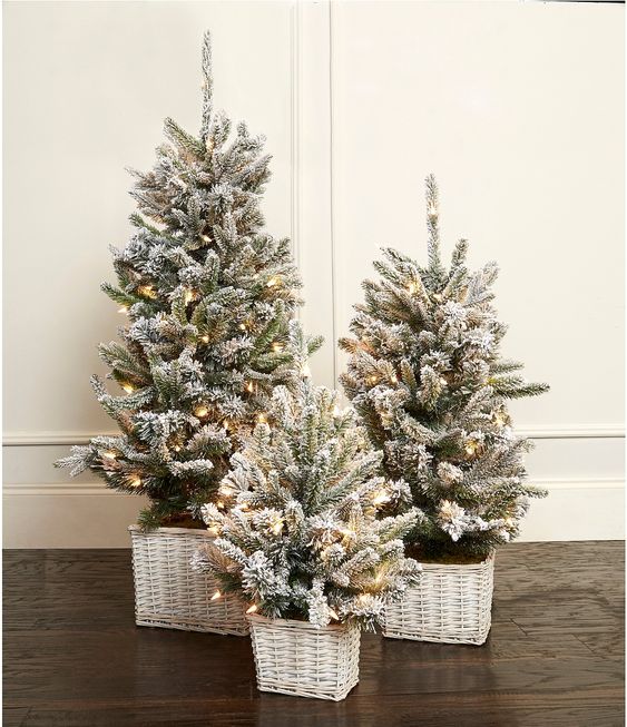 Stojan nepotřebujete: Inspirace na krásné vánoční stromečky v květináči či koši!