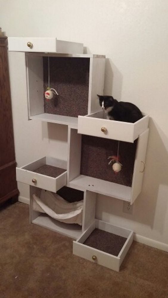 Prima inspirace pro vaše kočičí mazlíčky: Využijte obyčejné šuplíky či dřevěné přepravky!