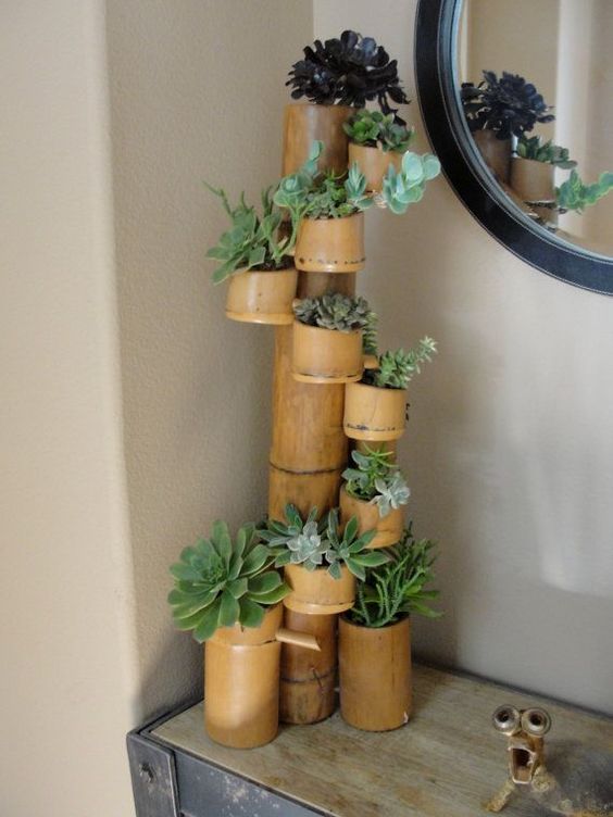 20+ skvělých nápadů na využití bambusu u vás doma – Inspirujte se!