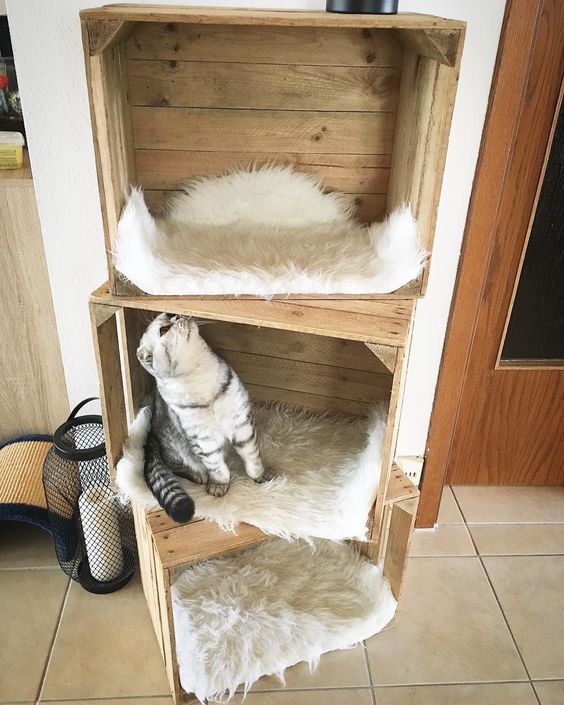 Inspirace na originální pelíšek pro kočku: Využijte například dřevěné přepravky či starý šuplík!