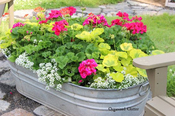 Inspirace na originální a krásné květináče, které se budou na Vaší zahradě skvěle vyjímat!