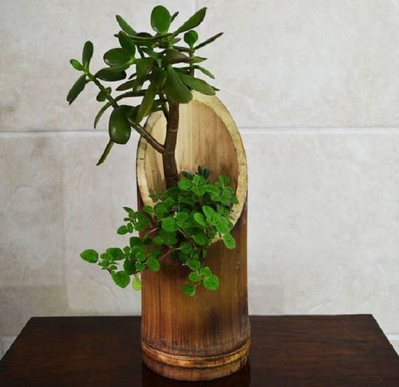 20+ skvělých nápadů na využití bambusu u vás doma – Inspirujte se!