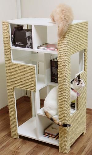 Prima inspirace pro vaše kočičí mazlíčky: Využijte obyčejné šuplíky či dřevěné přepravky!