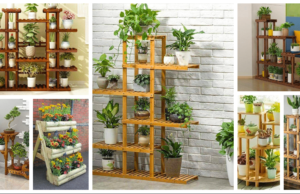Inspirace pro všechny milovníky rostlin – Vytvořte si zelenou oázu, která Vás jistě bude těšit