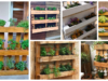 Inspirace z dřevěných palet: Vytvořte si květináče na pěstování bylinek