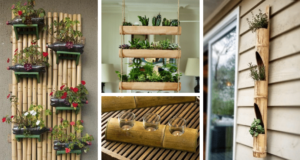 20+ skvělých nápadů na využití bambusu u vás doma – Inspirujte se! 20+ skvělých nápadů na využití bambusu u vás doma – Inspirujte se!